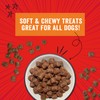 Stella & Chewy's Training Dog Treats - Crav'n Bac'n Soft
