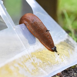 VOSS.garden 20x Schneckenfalle Slug Ex, Schnecken bekämpfen, Bierfalle