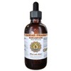 HawaiiPharm Elecampane (Inula Helenium) Liquid Extract 4 oz