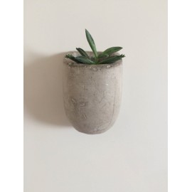 Gift Republic GR450067 Magnetic Planters, Grey, 5 x 16.5 x 13 cm