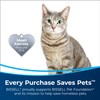 Bissell Pet Stain & Odor Remover + Sanitize Formula, 22