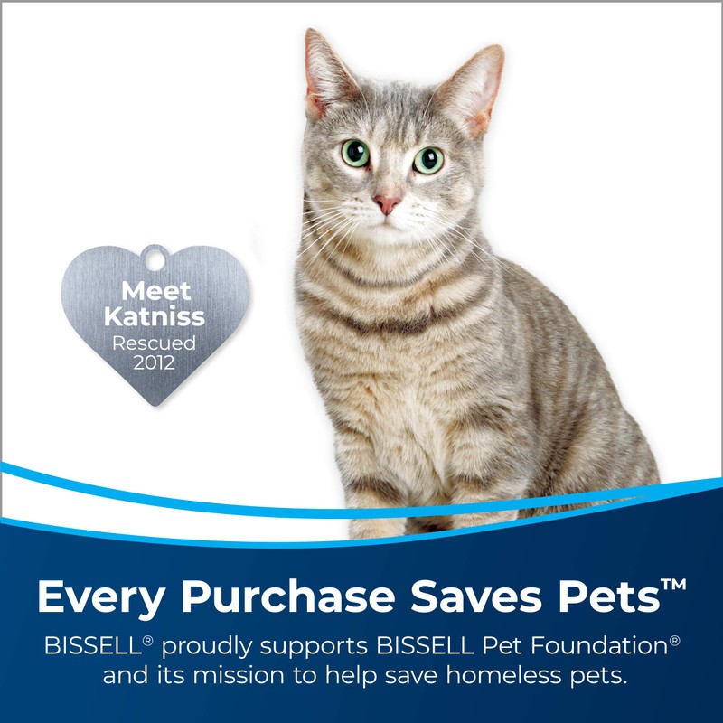 Bissell Pet Stain & Odor Remover + Sanitize Formula, 22