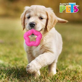 Fancy Pets Juguete de Caucho Surtido (Estrella, Pez y Chupón) para Perros, Colores Surtidos