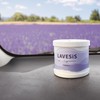Harukado 3634 Carall Lavesis Gel Lavender Musk