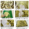 Kuriya Nanyoeve, Nakatsugawa Chestnuts, Gifu Prefecture, 100% Chestnuts, 6 Pieces