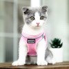 Suredoo Dog Harness with Lead, Anti-Pull Chest Harness, Reflective Chest