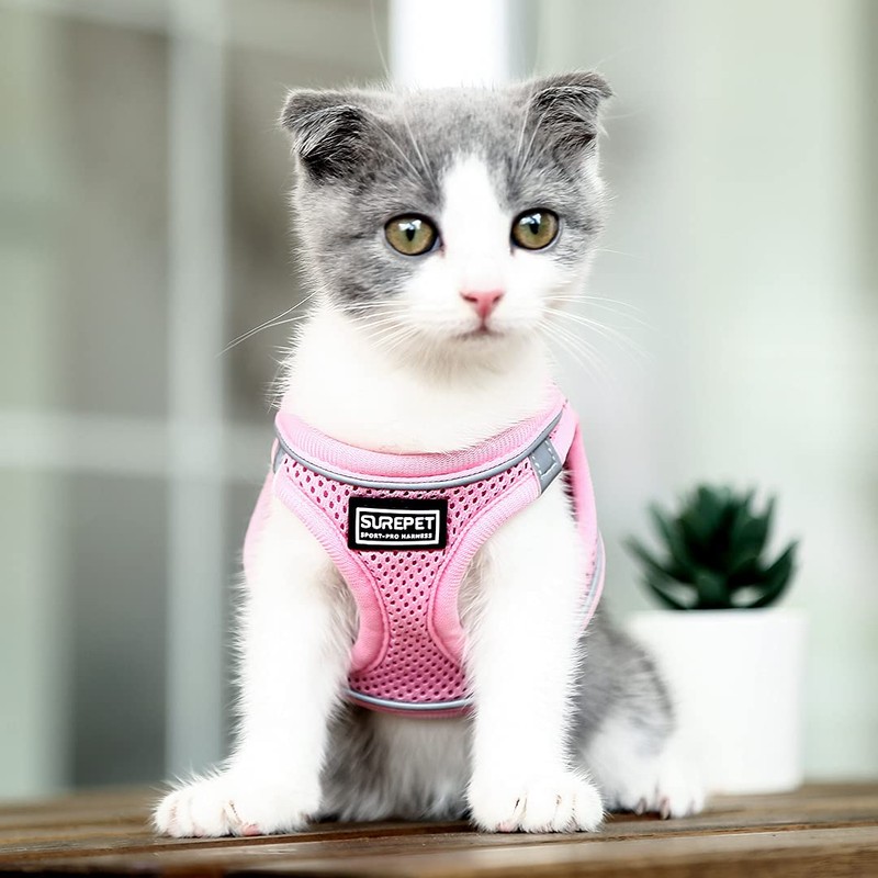 Suredoo Dog Harness with Lead, Anti-Pull Chest Harness, Reflective Chest