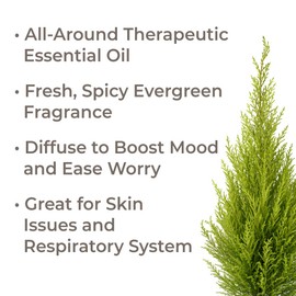 Plant Therapy Cypress Essential Oil 100% Pure, Undiluted, Natural Aromatherapy, Therapeutic Grade 10 mL (1/3 oz)