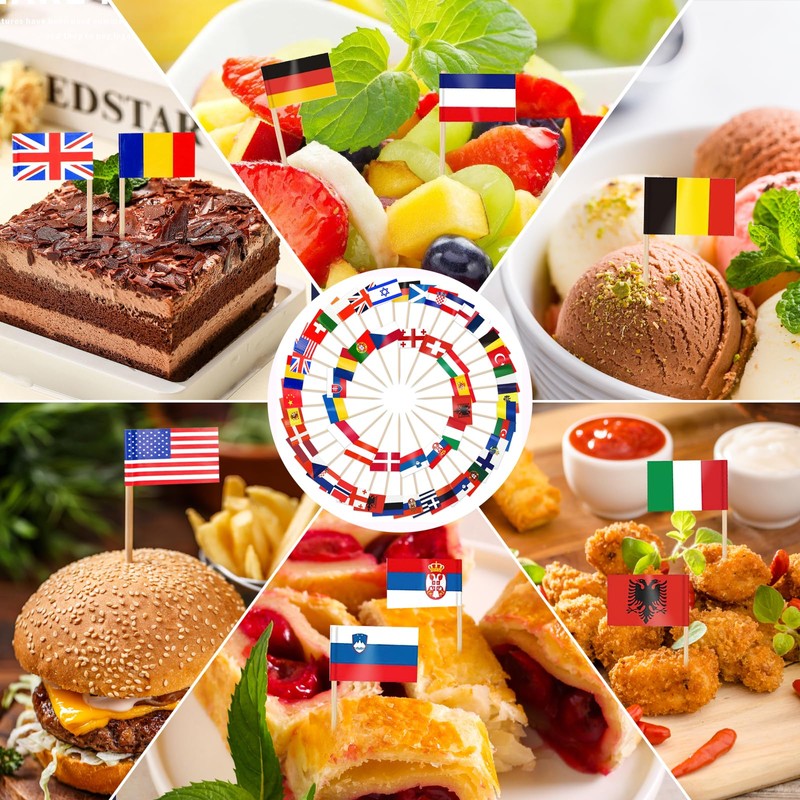CIYIN Flag Toothpick, Toothpick with Flags, 100 Different Country Flags,