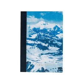 Almost Daily Notebook, Naoki Ishikawa/Almost Daily Square Notebook (A6) DENALI IN THE MIDNIGHT SUN #1, 3.7 mm Square, 240 Pages, 4 Color Grid, Notebook Accessory