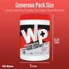 WIPESPLUS Cleaning Wipes All Purpose Food Contact - No Rinse,