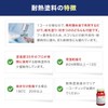 【Professional Painting Tutorial Included】Professional Heat-Resistant Paint Red 100ml