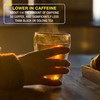 Brew La La Organic Green Tea - Natural Ginger Lemon