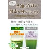 極濃 青汁 乳酸菌500億個 生きた酵素 (製薬会社と共同開発) 大麦若葉 無添加 国産 (1個 (x