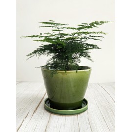 WAVY STUDIO Emerald Green Glazed Ceramic Planter with Drainage Hole & Saucer for Indoor Tropical Plants, Reactive Glaze Plant Pot (6")