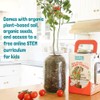 Back to the Roots Cherry Tomato Organic Windowsill Planter Kit
