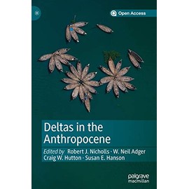 Deltas in the Anthropocene