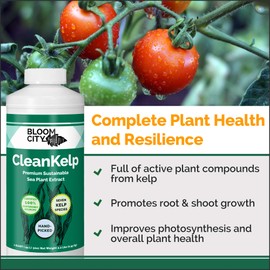 Organic Liquid Seaweed and Kelp Fertilizer Supplement by Bloom City, (8 oz) Concentrated Makes 45 Gallons