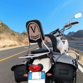 DKMOTORK 0181 Motorcycle Cafe Racer Oval Brake Tail Light Signal Lamp for Honda Yamaha Suzuki Kawasaki