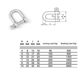8mm D-Shackles Stainless Steel A4-Marine Grade (316) - for connecting Ropes, Anchors and Chains (Pack of 2)
