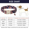 ARING PET American Flag Dog Collar-Cute Patriotic Dog Collars, Adjustable