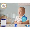 White Deluxe Tapered Hanukkah Menorah Candles for All 8 Nights