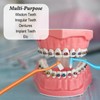 6 Pcs Soft Interdental Brushes Small-Head Orthodontic Toothbrush Teeth Detail