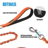 Chain Dog Leash Chew Proof Metal Leash for Medium Large