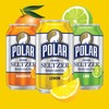 Polar Seltzer Water Citrus Variety Pack, 12 fl oz cans,