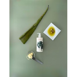 Red Flower Wanderlust Softening Lotion – Deep Hydration & Skin Repair Body & Hand Lotion with Shea Butter & Olive Fruit Oil, Vegan, Sulfate-Free, 10 oz