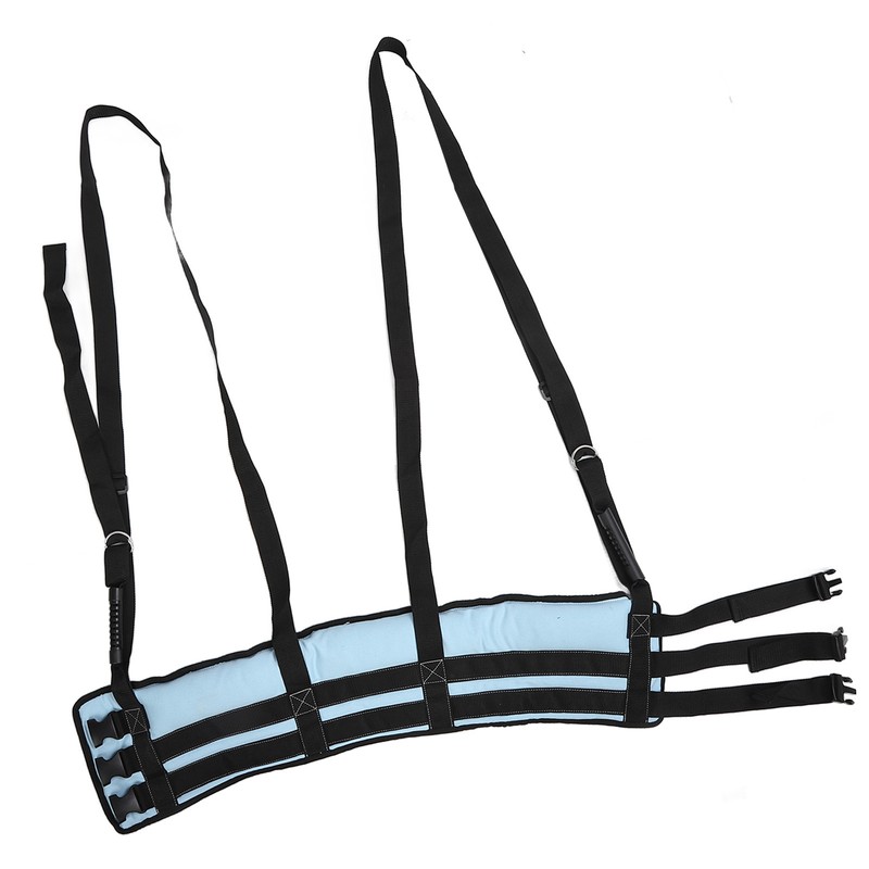 Lumbar Belt Thickened Canvas Cotton Back Lumbar Suspension Straps Back