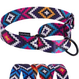 CollarDirect Aztec Martingale Collars for Dogs Heavy Duty Tribal Pattern Safety Nylon Training Collar Large Medium Small (Tribal, M, Neck Size 12"-17")