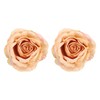 PATIKIL Rose Flower Curtain Tiebacks, 2 Pcs Artificial Floral Curtain