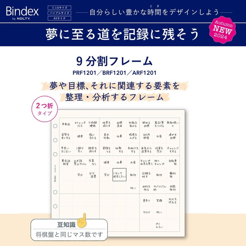 Noritsu Bindex Personal Organizer Refill, Mini 6, 9 Split Frame,