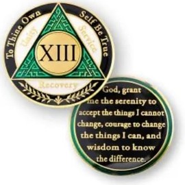 AA Recovery Coin, 13 años, verde, blanco, negro