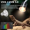 ZeiLaBang Kakadi Pack of 6 Turtle Heat Lamps, UVA UVB