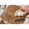 mciskin Jurassic Dinosaur Cookie Cutters and Skeleton Stampers T-Rex Stegosaurus