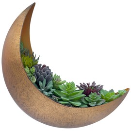 AERLO Wall Mounted Metal Moon Planter - Hanging Crescent Pot for Succulents, Air Plant, Cactus - Boho Indoor Outdoor Moon Wall Decor - Witchy Plant Gifts - Rustic Gold