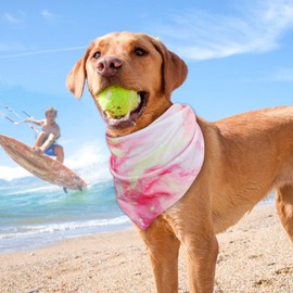 cyeollo 2 Pack Dog Cooling Bandanas Pink Stripe Chill Out Pet Cooling Bandana Summer Breathable Doggie Scarf for Small Medium Large Dogs