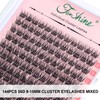 Fenshine Cluster LashesIndividual Lashes Wide Stem C/D Curl 9-15mm Length