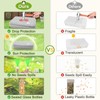 SMUJU 【80 Slots】 Seed Storage Organizer, Sturdy Seed Organizer Storage