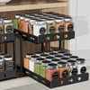 BOIVSHI Pull Out Spice Racks for Inside Cabinets, 2-Tier Cabinet