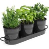 MoFarbe Herb Pots for Kitchen & Windowsill | Kitchen Herb