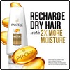 Pantene Pro-V Daily Moisture Renewal Conditioner, 3.38 fl oz