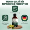 Premium Neem Oil with Emulsifier [250 ml], Natural Neem Oil