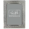 Michael Wainwright Panthera Platinum 5x7 Picture Frame