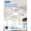 Passky Ceiling Fans with Lights, 52 inch Sleek Ceiling Fan