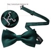 Barry.Wang Emerald Green Bow Ties for Men Pre-tied Bow Tie