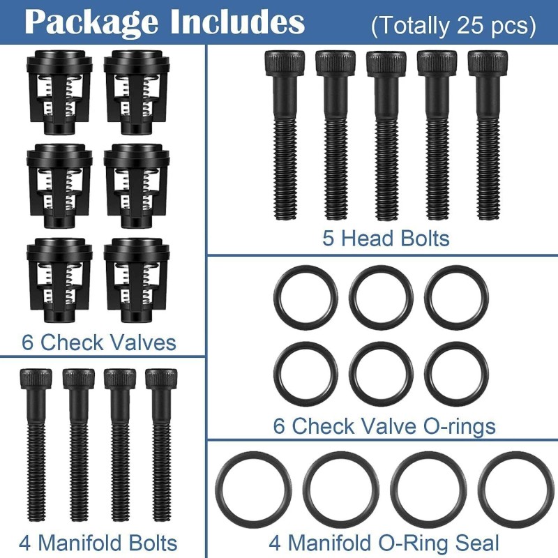 Unbranded 190591GS Pressure Washer Pump Valve Check Kit for Briggs