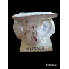 Victoria Royal Victoria Fine Bone China Mug England Pink Rosebud